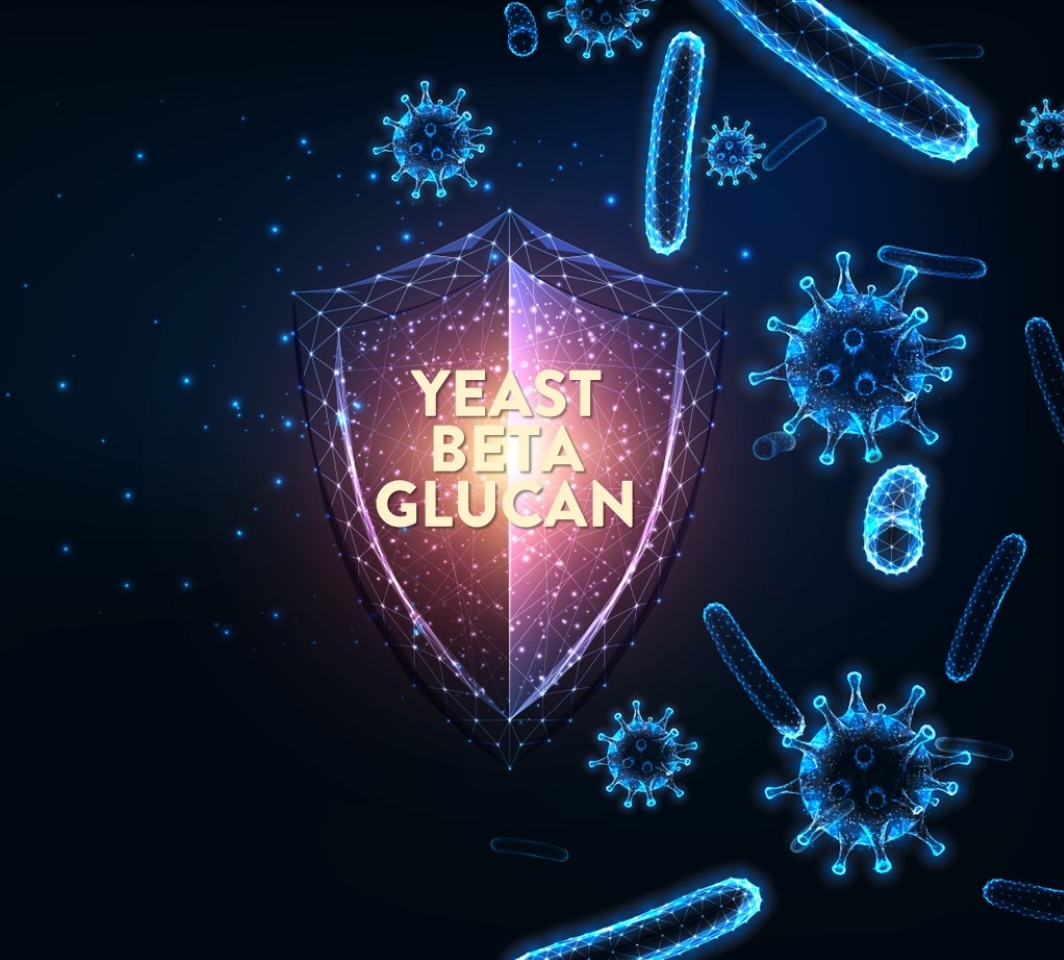 Unlock Your Immune Potential Harness the Benefits of Yeast Beta Glucan